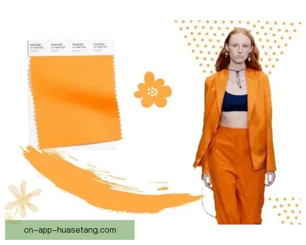 国产好色先生tv：探索无限可能，点亮生活新色彩